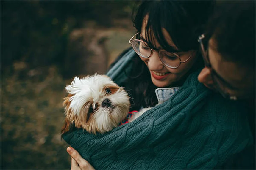 Hundekot richtig entsorgen: 5 wichtige Gründe fürs Aufsammeln